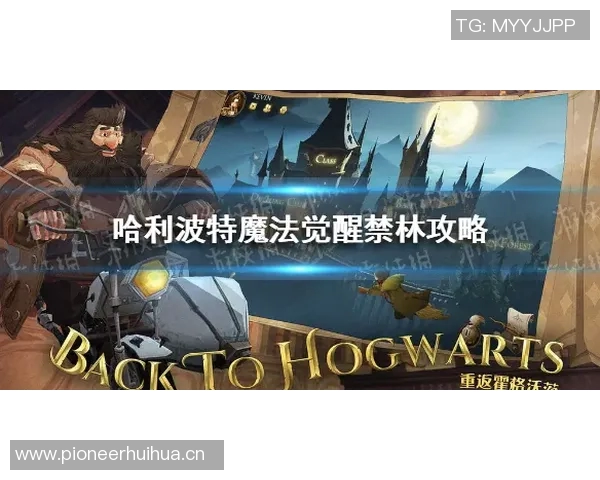 NBA琼泰波特因赌球案件被永久禁赛引发关注与讨论